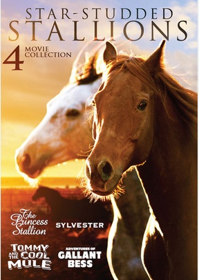 Star-Studded Stallions