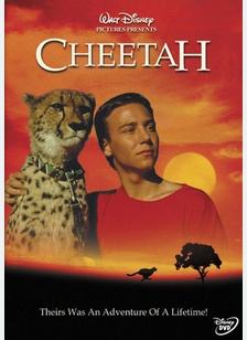 Cheetah