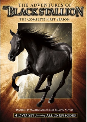 The Adventures of the Black Stallion: The Complete First Season