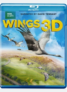 Wings 3D