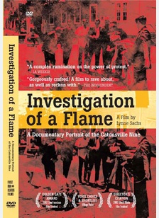 Investigation of a Flame