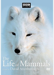 Life Of Mammals Volume 2