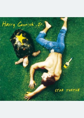 STAR TURTLE