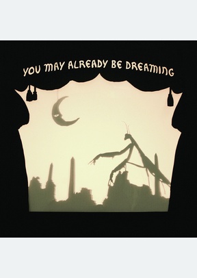 You May Already Be Dreaming