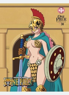 One Piece: Collection 30