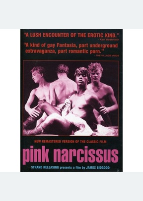 Pink Narcissus