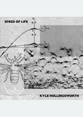 Speed Of Life