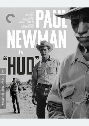HUD:CRITERION (4K/BR)