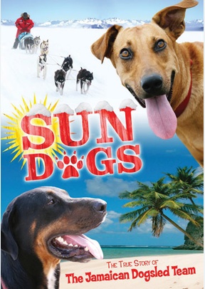 Sun Dogs