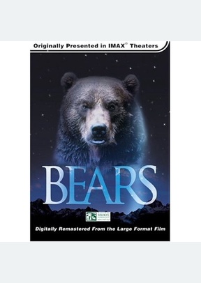 IMAX: Bears