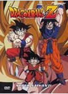 DBZ:V17