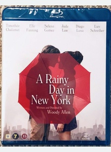 RAINY DAY IN NEW YORK (BR)