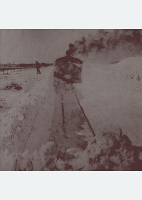 Out Into The Snow