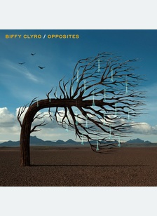 OPPOSITES