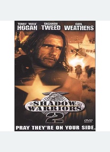 Shadow Warriors 2