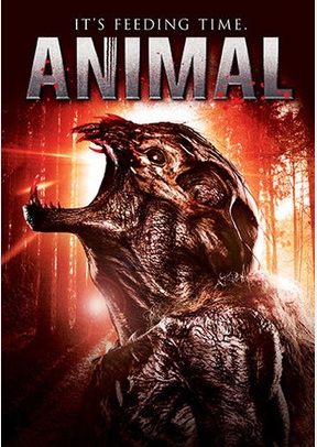 Animal