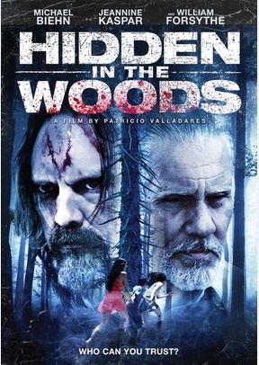 Hidden in the Woods