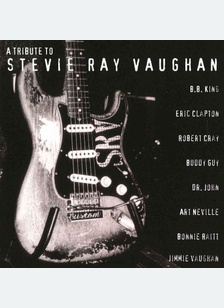 Tribute to Stevie Ray Vaughan