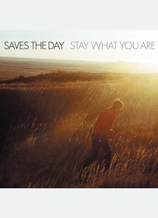 STAY WHAT YOU ARE (LP)
