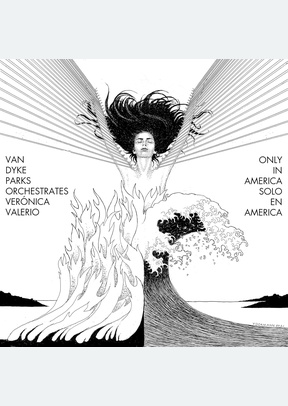 VAN DYKE PARKS ORCH (LP)