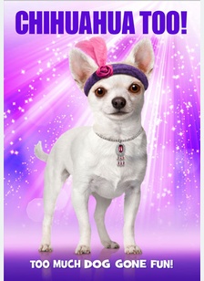 Chihuahua Too!