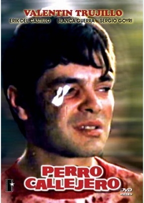PERRO CALLEJERO
