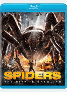 Spiders