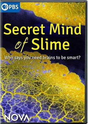 Nova: The Secret Mind of Slime