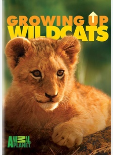 Growing Up Wildcats