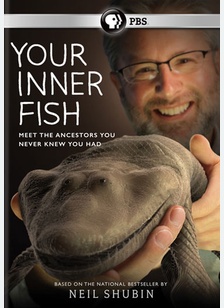 Your Inner Fish