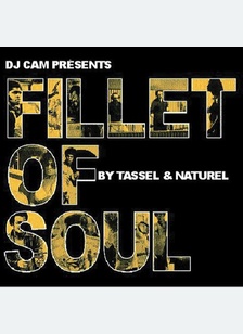 FILLET OF SOUL