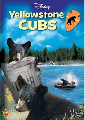 Yellowstone Cubs