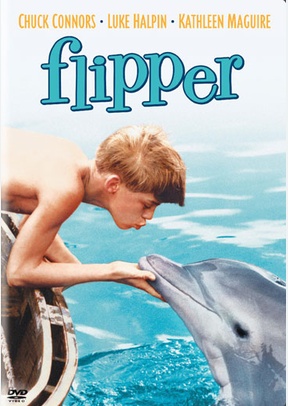 Flipper