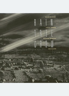 RAIN TREE CROW