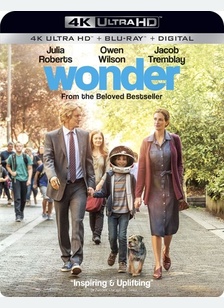 Wonder