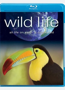 Wild Life