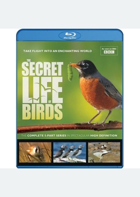 The Secret Life of Birds