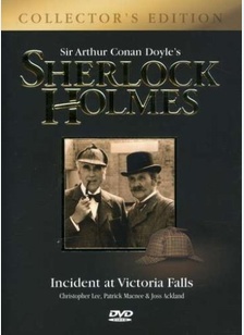 SHERLOCK HOLMES:INCIDENT AT VI