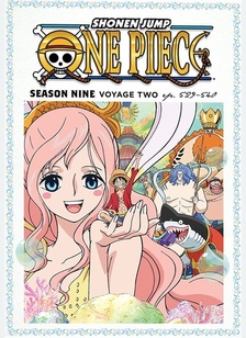 One Piece: Season 9, Voyage Two