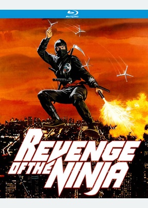 Revenge of the Ninja