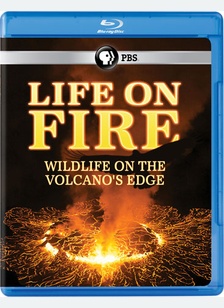 Life on Fire: Wildlife on the Volcano's Edge
