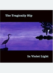 IN VIOLENT LIGHT