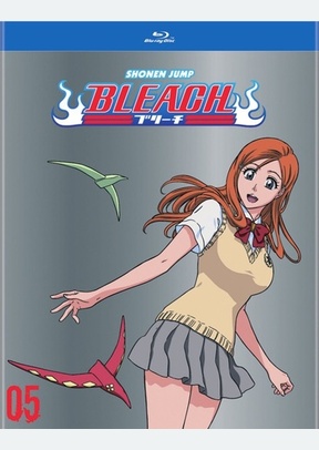 Bleach Box Set 5