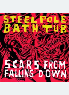 SCARS FROM FALLING DOWN