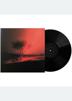 PISS IN THE WIND (LP)