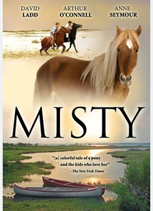 Misty