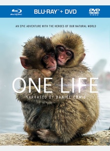 One Life