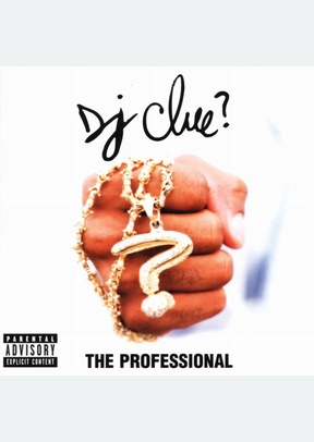 PROFESSIONAL