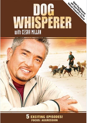 Dog Whisperer with Cesar Millan: Aggression