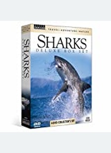 T.A.N.: Sharks